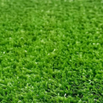 How Does Moisture Affect Artificial Grass Durability?