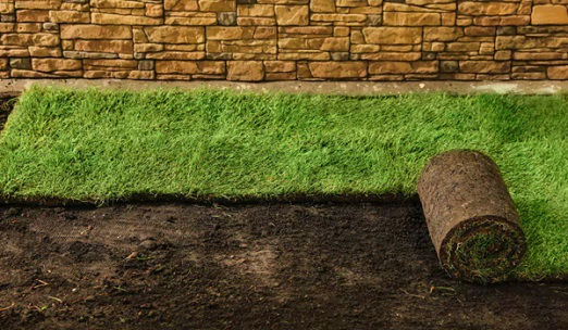Real-Grass-Front