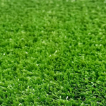 How-Does-Moisture-Affect-Artificial-Grass-Durability-2