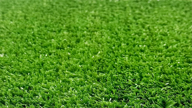 How-Does-Moisture-Affect-Artificial-Grass-Durability-2