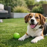 Artificial Grass for Dogs Review